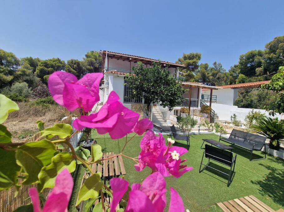 Elmy Houses V4 / Thalia Rafina  Bagian luar foto