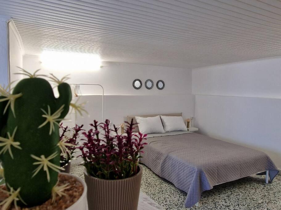 Elmy Houses V4 / Thalia Rafina  Bagian luar foto