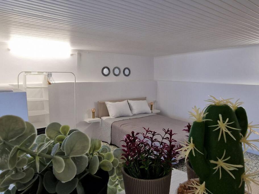 Elmy Houses V4 / Thalia Rafina  Bagian luar foto